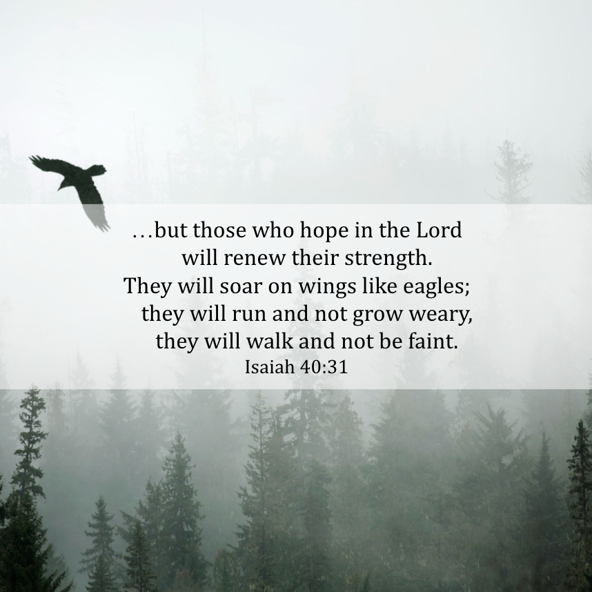Isaiah 40:31
