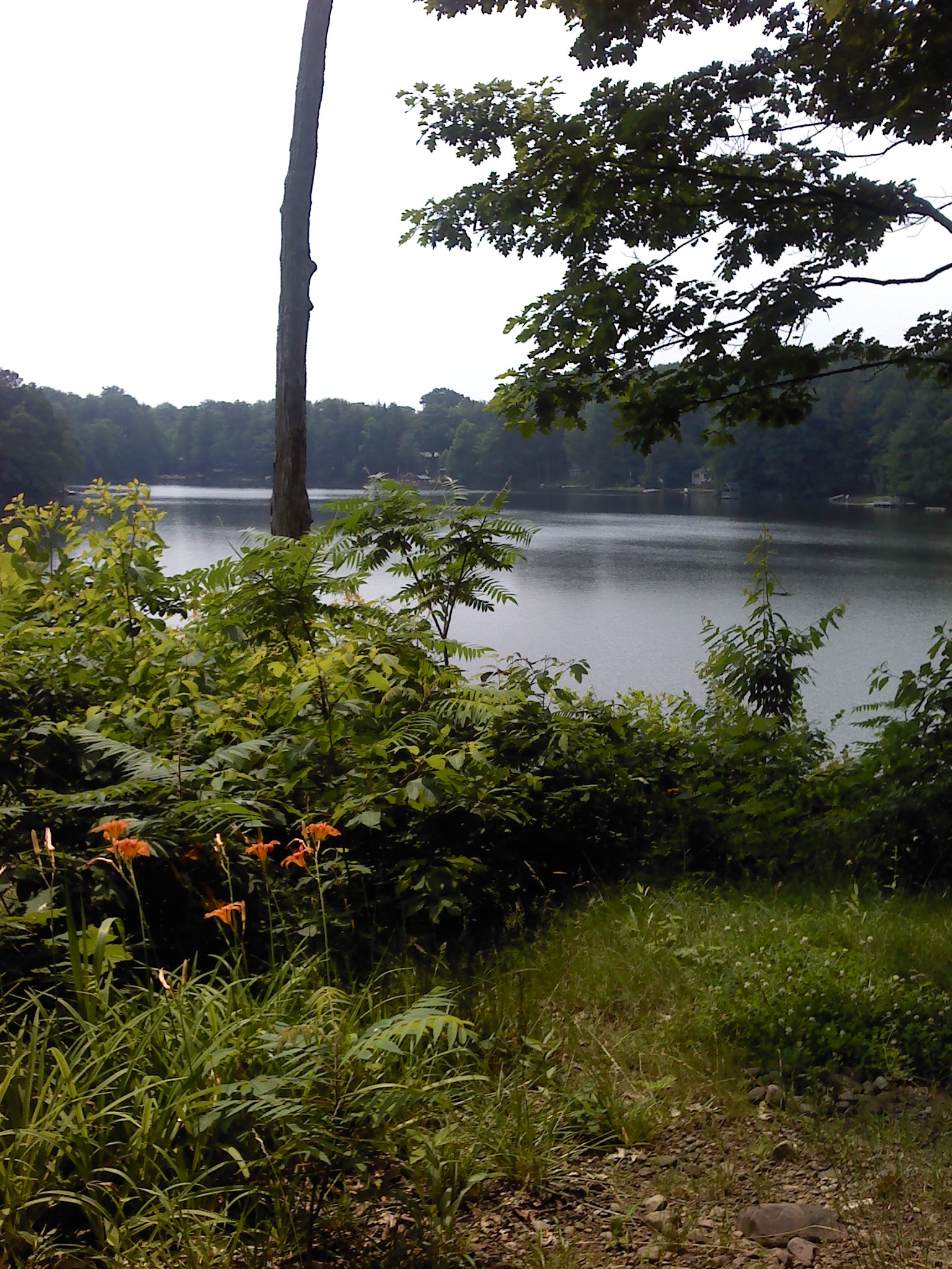 GALLERY Pleasant Lake Campground