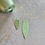 Thumbnail: Leaf Earrings