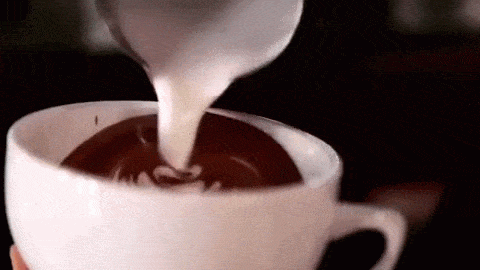 giphy (2).gif