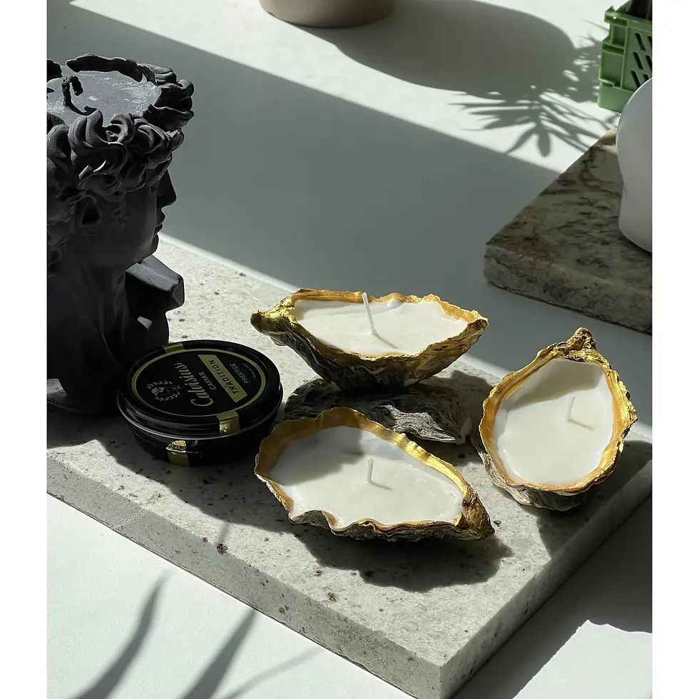 Sīktēls: Svece Oyster shell