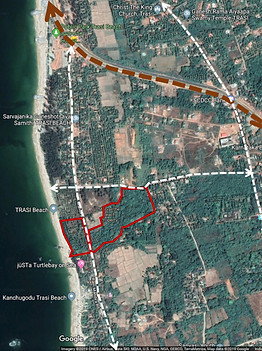 Screenshot 2025-02-07 165515_edited.jpg