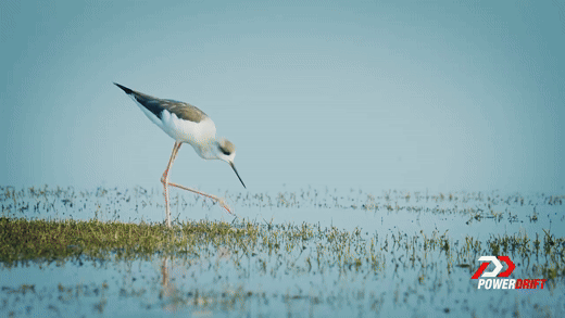 PowerDrift_X_Samsung_Galaxy_A__Teaser__PowerDrift (3).gif