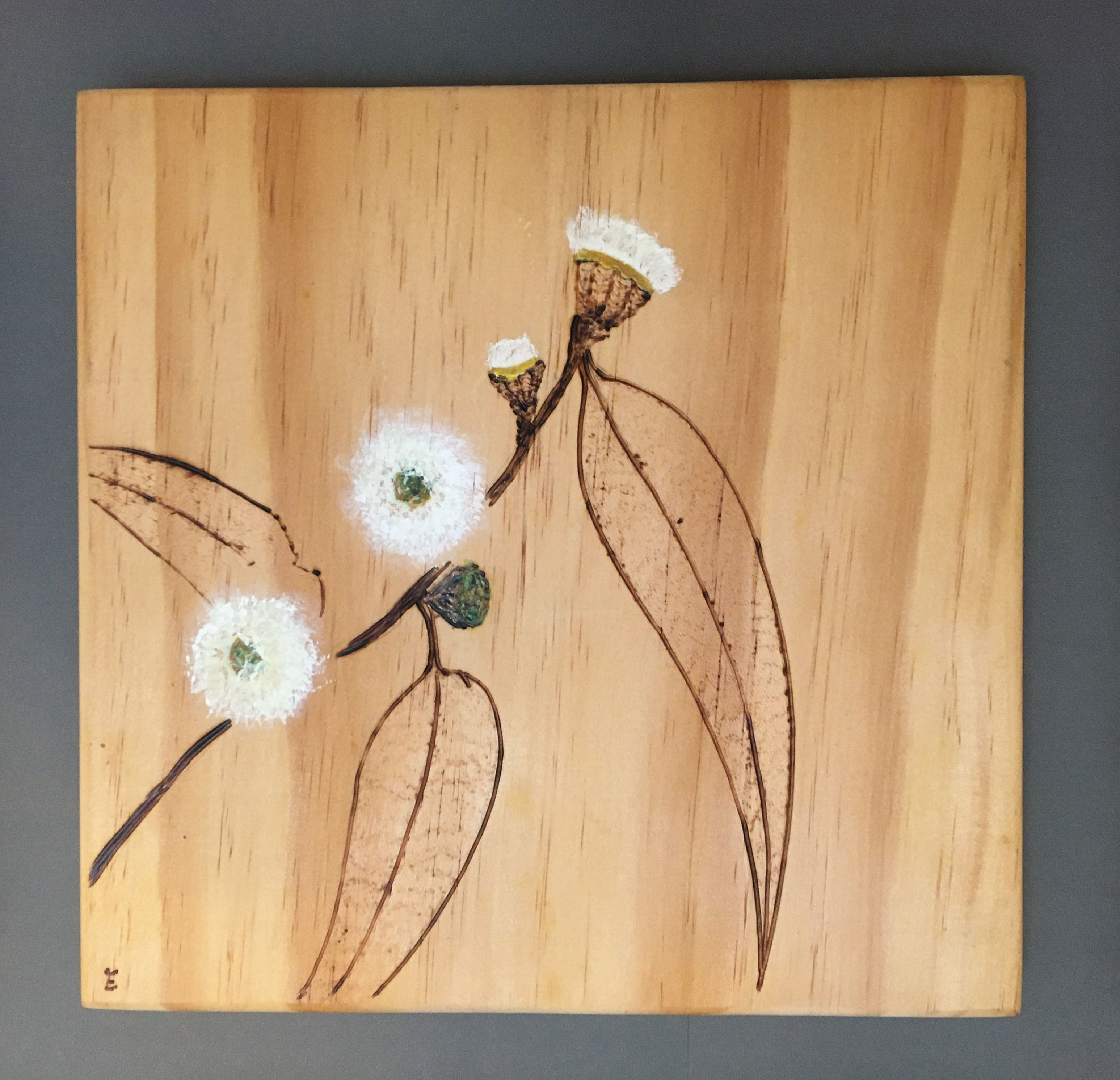 Tasmanian Blue Gum- the Emblem of Tasmania.