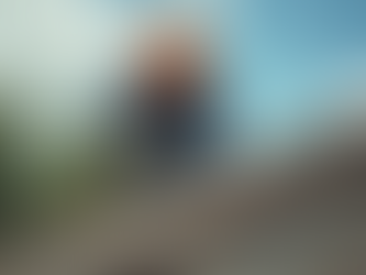 The Best Roofing Companies in Houston: A Detailed Guide