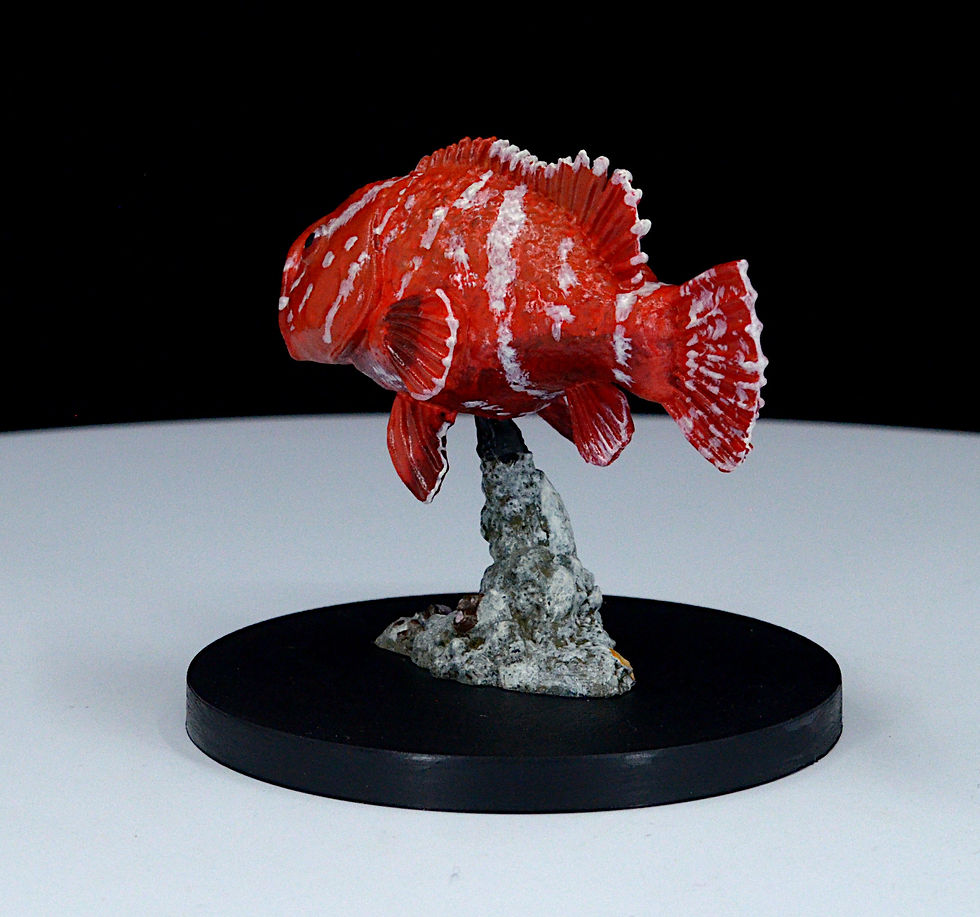 Thumbnail: Reaper Bones 5 - Dire Grouper