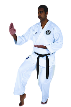 Mario%252520Instructor%252520%252520%252
