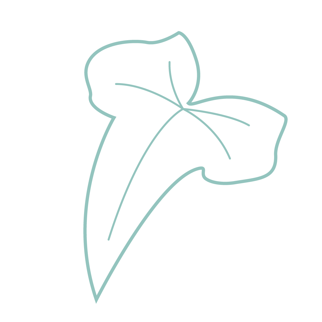 FREILUFT_Efeu_4.png