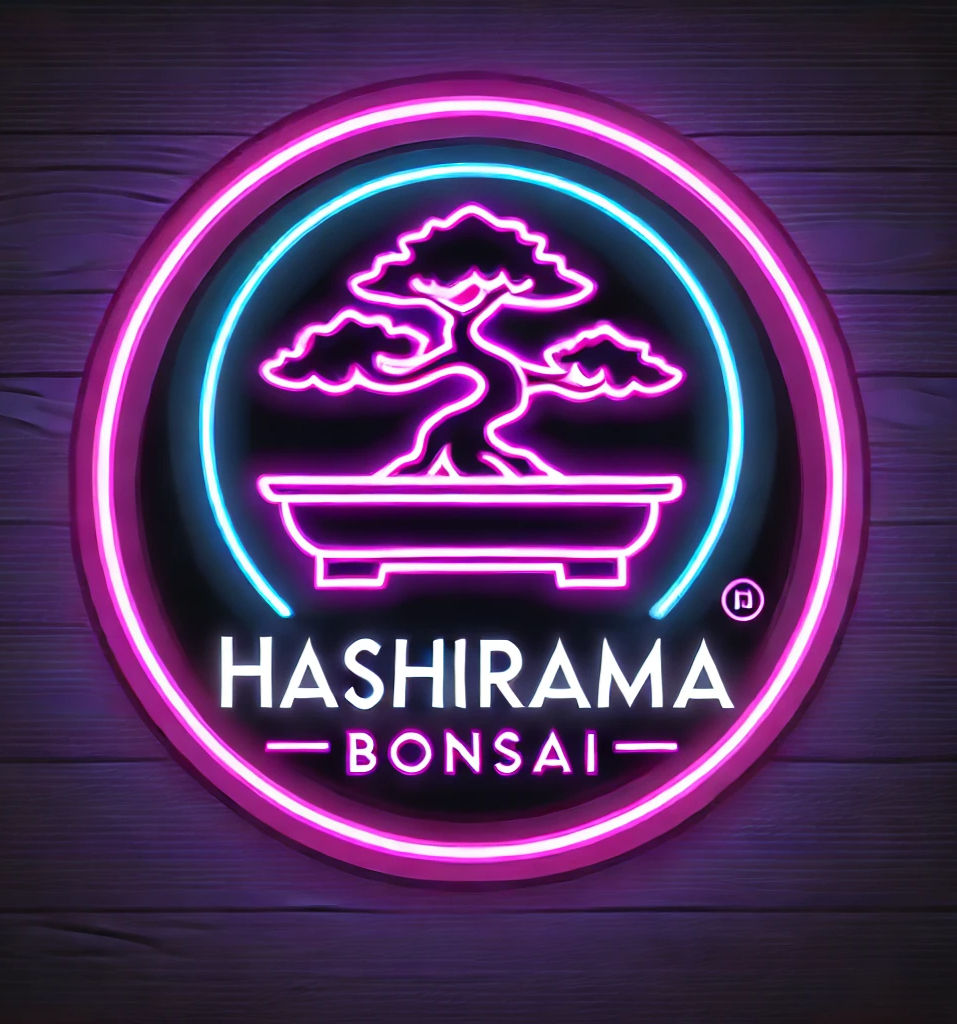 Hashirama Bonsai Logo_edited.jpg