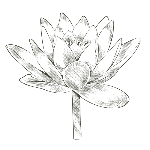 Untitled design(2).png