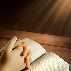 descarga - 2026-02-16T120001.631.jpg