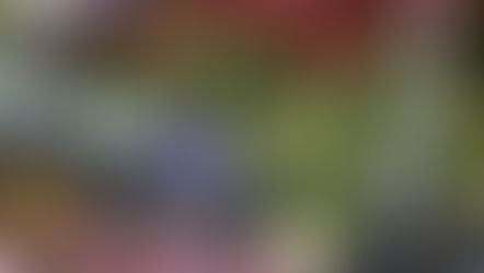 2026 Spring Garden Expo