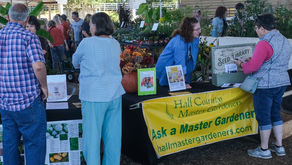 Organizing a Master Gardener Expo