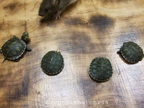 The journey begins...lol