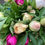 Thumbnail: Peony Bouquet CSA 2026