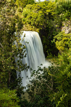 Waterfall with greenery around