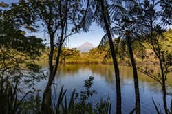 Mountain with lake in front through trees