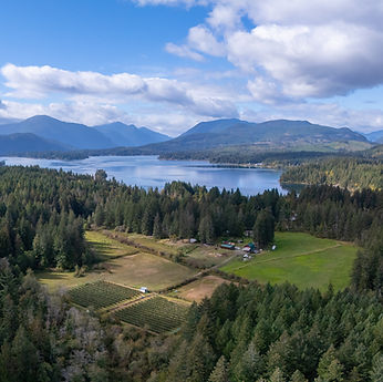 8286 Faber Road, Port Alberni, BC  V9Y 9B4