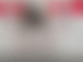 Seminário Nacional de Kata