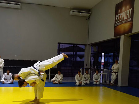 Dedicação e maestria no Ju-no-Kata!