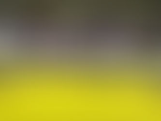 FEJ realiza exame de faixas pretas com mais de 60 aprovados entre 1º e 5º DAN