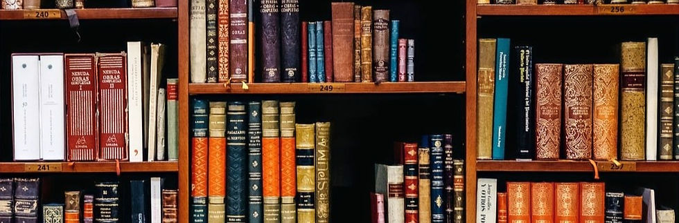 libros_edited.jpg