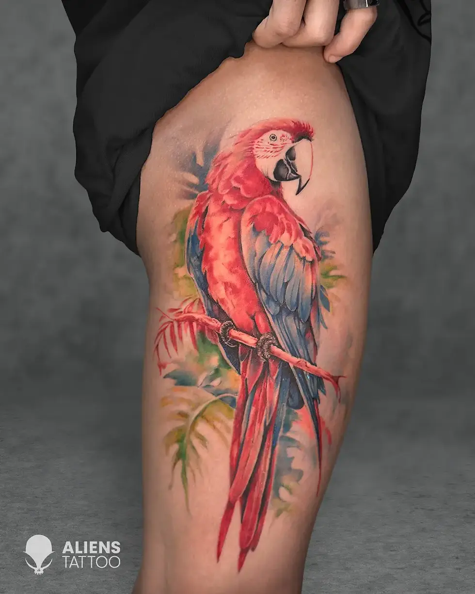 colour surrealism macaw tattoo