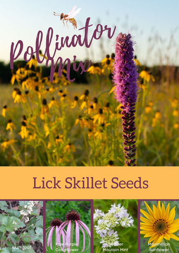CP42 Mix #19 - Pollinator Habitat | Mysite
