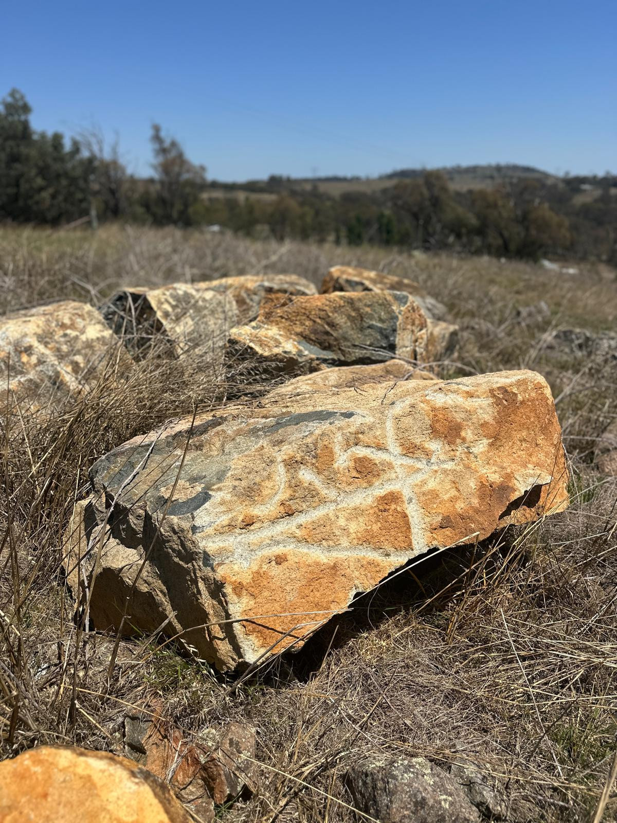Granite boulder approx. 1-2m diameter