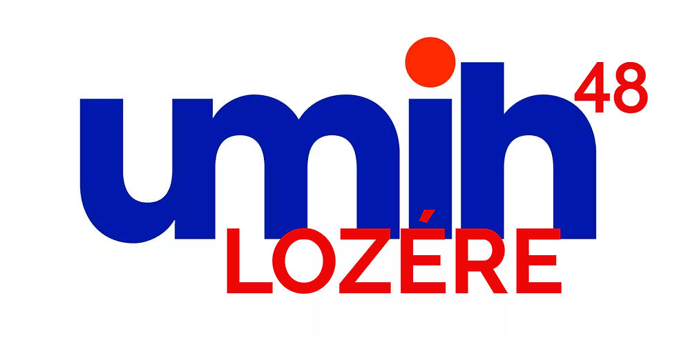 umih_logo_rvb_edited_edited.jpg
