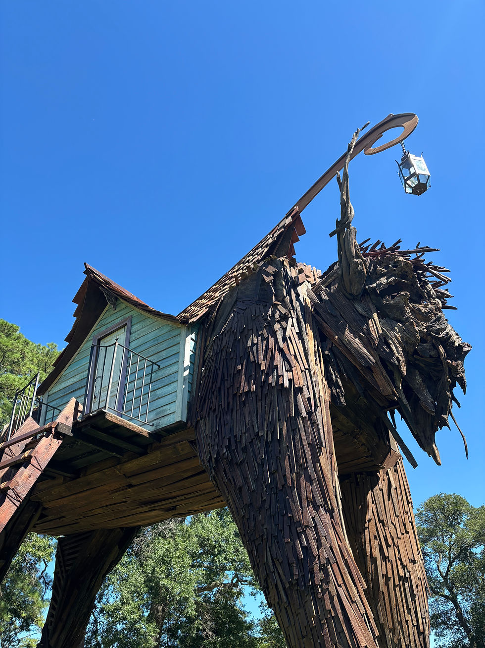 Where the Forest Learned to Walk