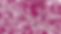 Effet tache d'huile violette