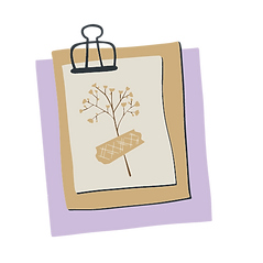 Copy of Untitled Design (3).png