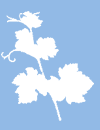 rightbn