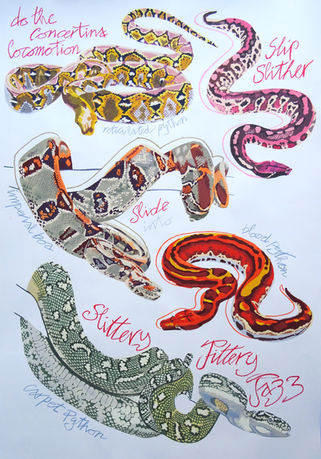 Do The Concertina Locomotion