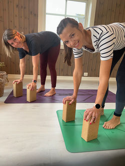 Maya og Vibeke gjør Viryayoga
