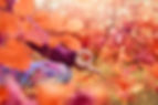 Close-up of yoga gesture against autumn background_edited.jpg