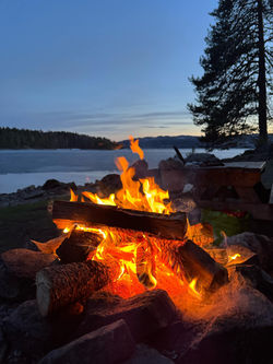 ca250b3f-81fd-4ee1-831e-5a18f0ef4672