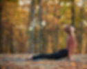Upward Facing Dog_edited.jpg