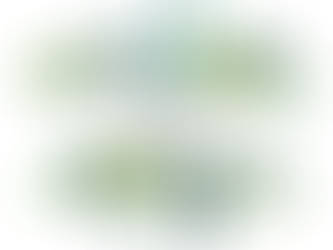 ホームページをリニューアルしました。