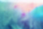 meadow-2369426.jpg