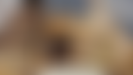 🐣🐥🐤Vellykket kyllinguke på AKS! 🐣🐥