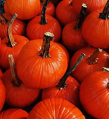 Did someone say #pumpkin spice__._.jpg