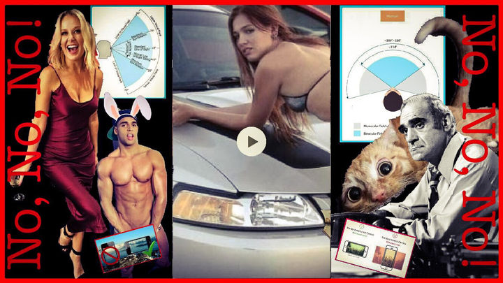 Hey Dumb-Asses! Turn Your F*#king Phone Sideways When Taking a Video!
