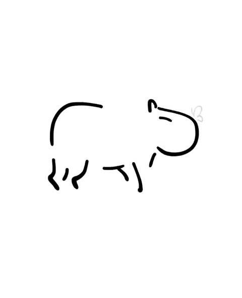 動物 Animals 動物