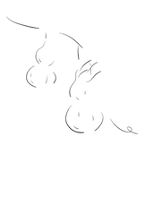 藻荇風插畫《葫蘆》：黑白極簡線描，藤蔓下兩個葫蘆相連，曲線延展，留白廣闊。Minimalist Alllgae illustration Gourds: black-and-white linework showing two gourds beneath a vine with extending curves and ample blank space. 藻荇風の線描《ひょうたん》：蔓の下に二つのひょうたんが連なり、曲線が伸び、余白が広がる。