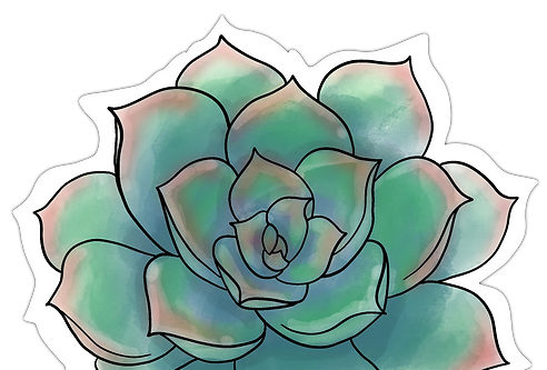 IMG_3880_edited.png