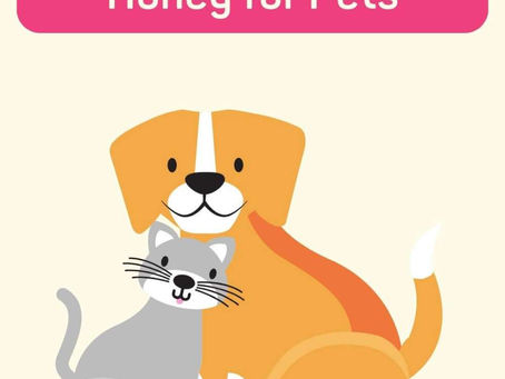 Can honey be given to Pets?