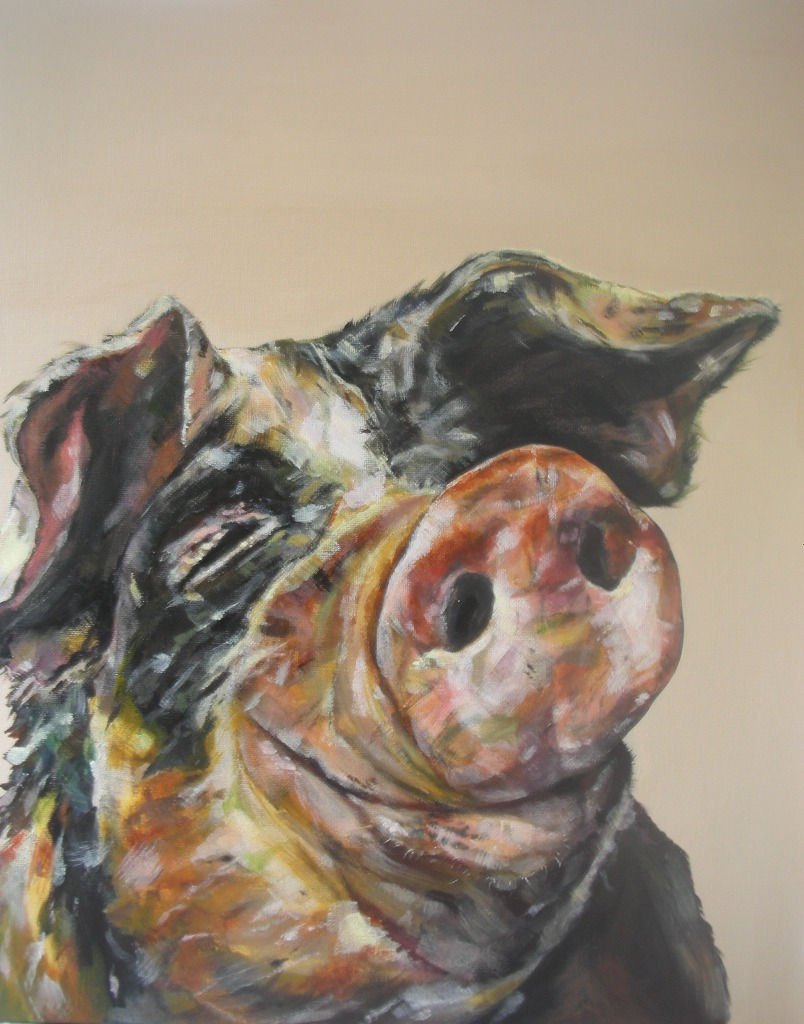 Smiling Old Gloucester Pig Greetings Card