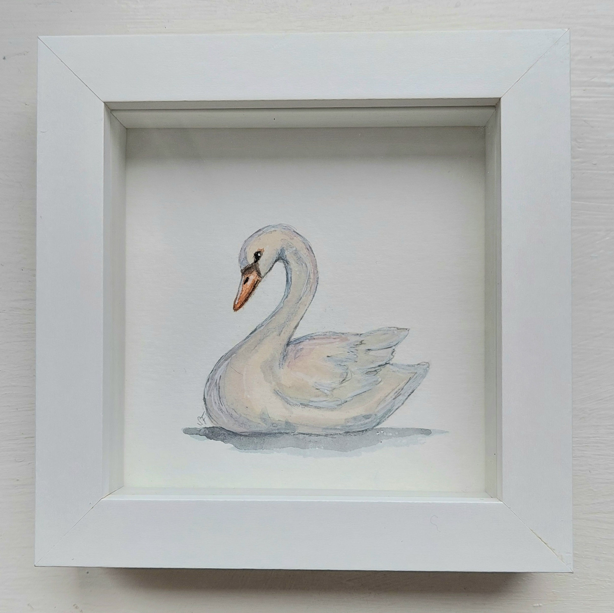 'Swan and Only' Original Handpainted Watercolour & Ink Swan